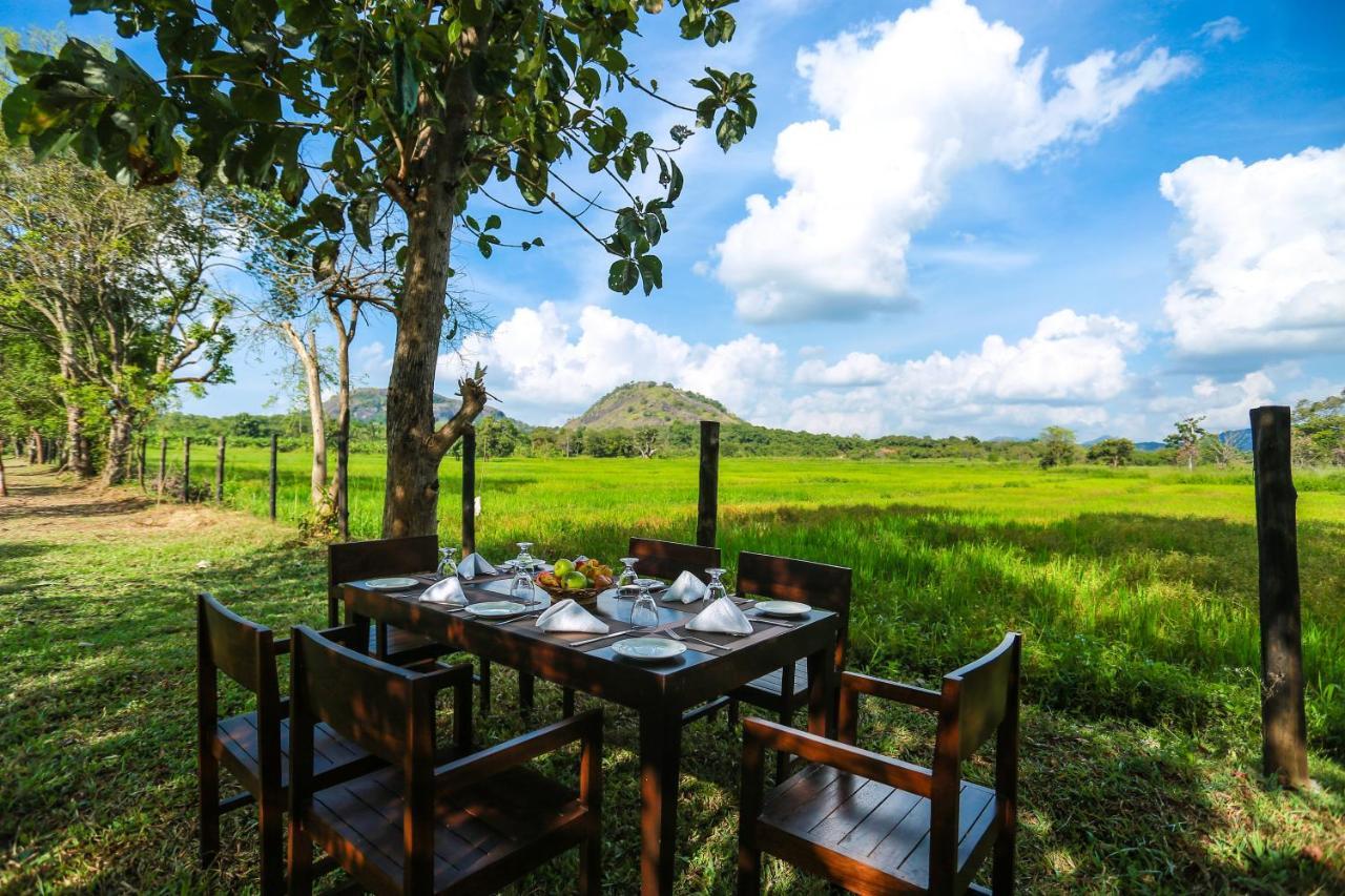 Tropical Life Resort And Spa 담불라 외부 사진