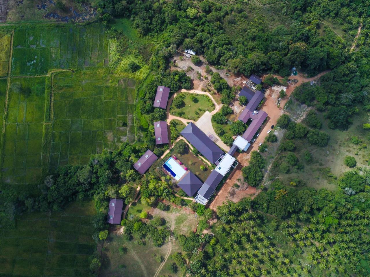 Tropical Life Resort And Spa 담불라 외부 사진